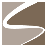 Chimney Stucco Repair